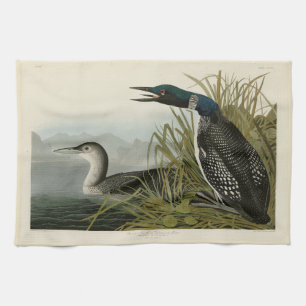 Great Northern Diver Loon Audubon Birds of America Kitchen Towel
