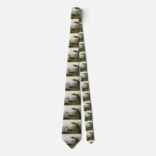 Great Northern Diver Loon Audubon Birds of America Tie