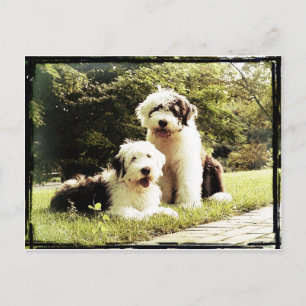 Great Outdoors! Postcard