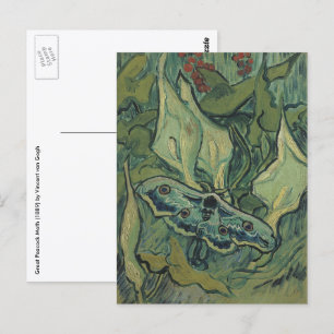 Great Peacock Moth by Vincent van Gogh Postcard