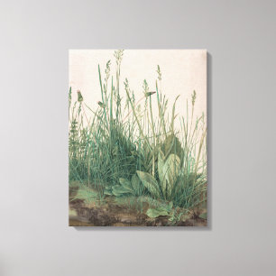 Great Piece of Turf (by Albrecht Dürer) Canvas Print