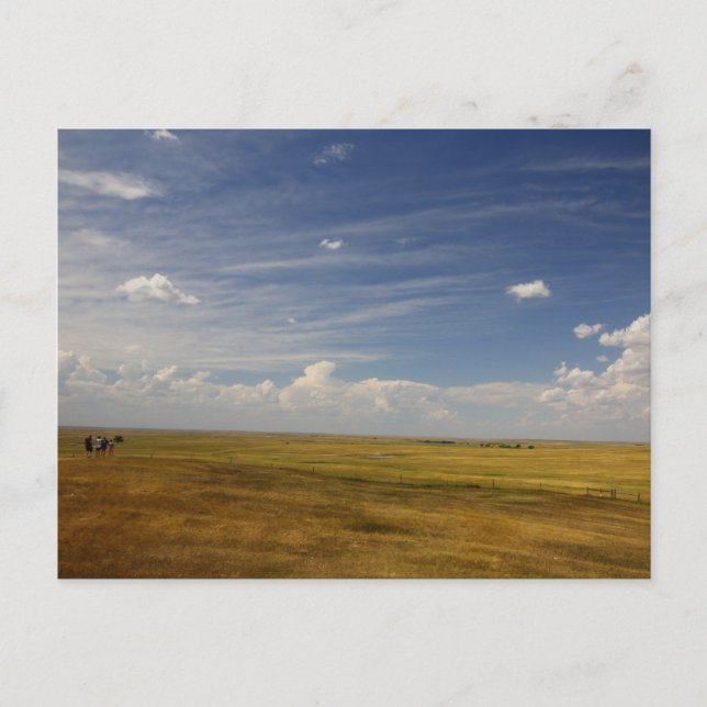 Great Plains in South Dakota in Summer Postcard (Front)