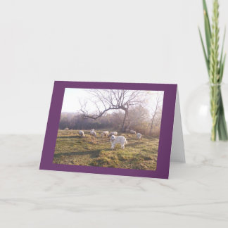 Great Pyr and Flock Card