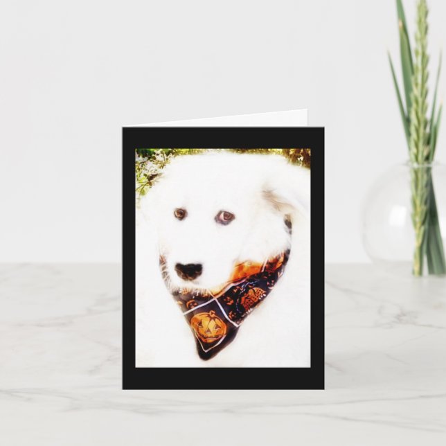 Great Pyr Halloween Card (Front)