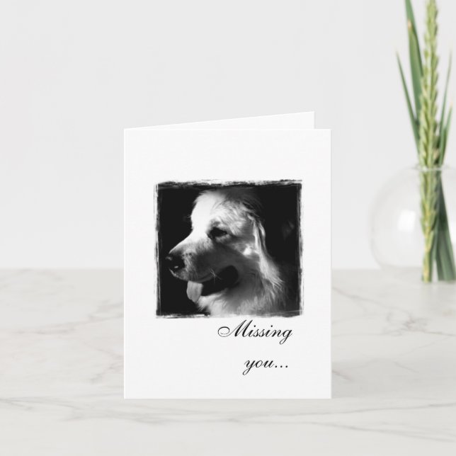 Great Pyrenees Black and White Photo products Card (Front)
