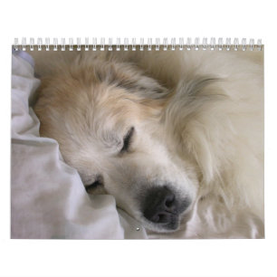 Great Pyrenees Calendar