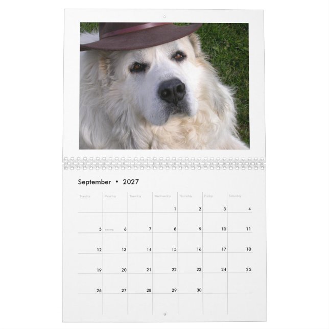  Great Pyrenees Calendar (Sep 2027)