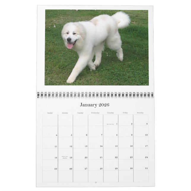 Great Pyrenees Calender Calendar (Jan 2026)