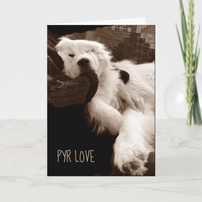 Great Pyrenees Card (Front)