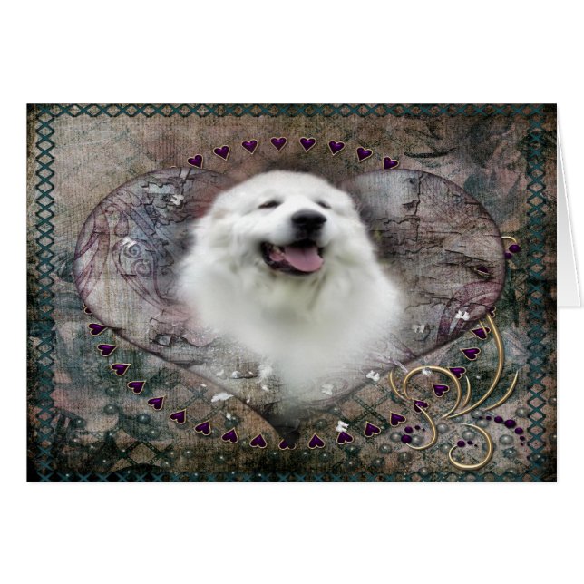 Great Pyrenees Card - "Beautiful Benny" (Front Horizontal)