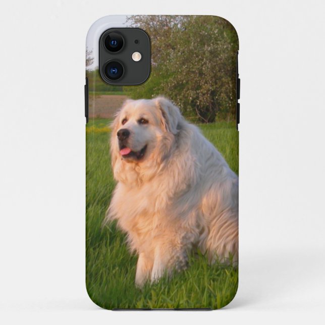 Great Pyrenees case (Back)