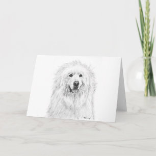 Great Pyrenees Drawing Card