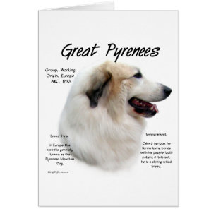 Great Pyrenees History Design