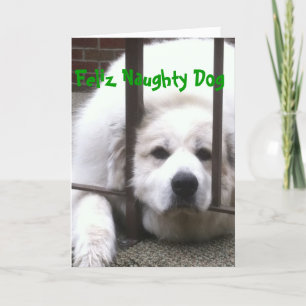 Great Pyrenees Holiday Greetings