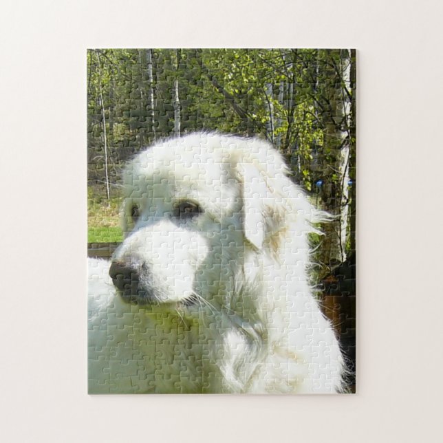 great pyrenees jigsaw puzzle (Vertical)