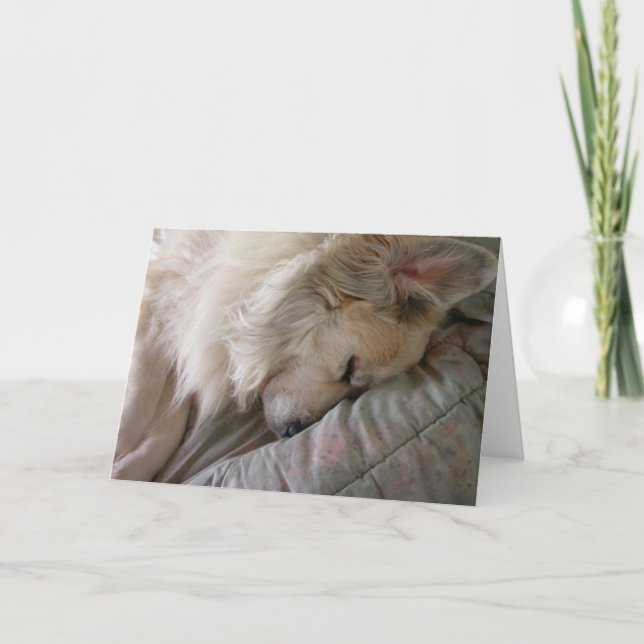 Great Pyrenees Notecard (Front)