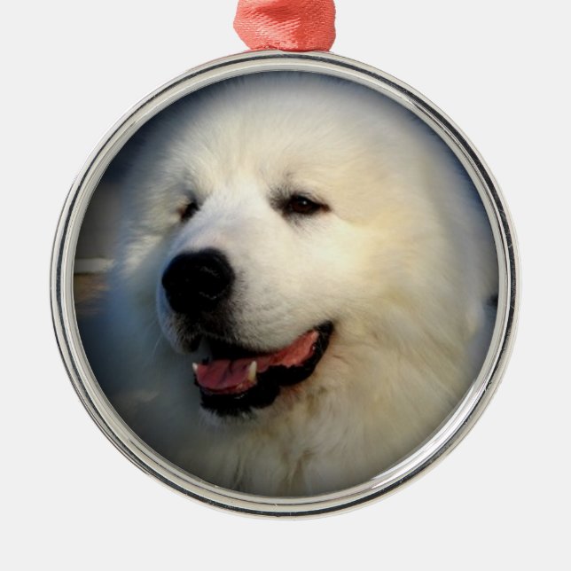 Great Pyrenees ornament #3 (Front)