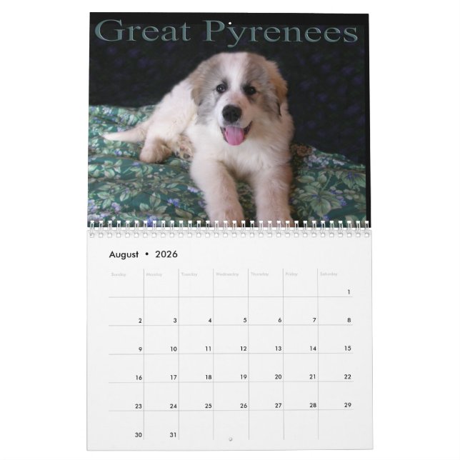 Great Pyrenees Puppy Calendar (Aug 2026)