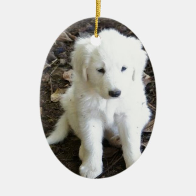 Great Pyrenees Puppy Rose Ceramic Ornament (Front)