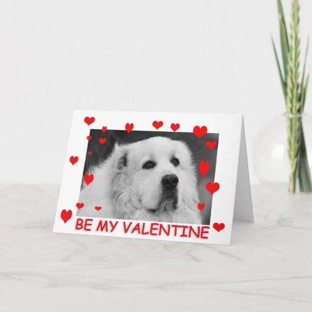 Great Pyrenees Valentines Card (Front)