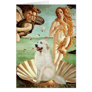 Great Pyrnees 1 - Birth of Venus