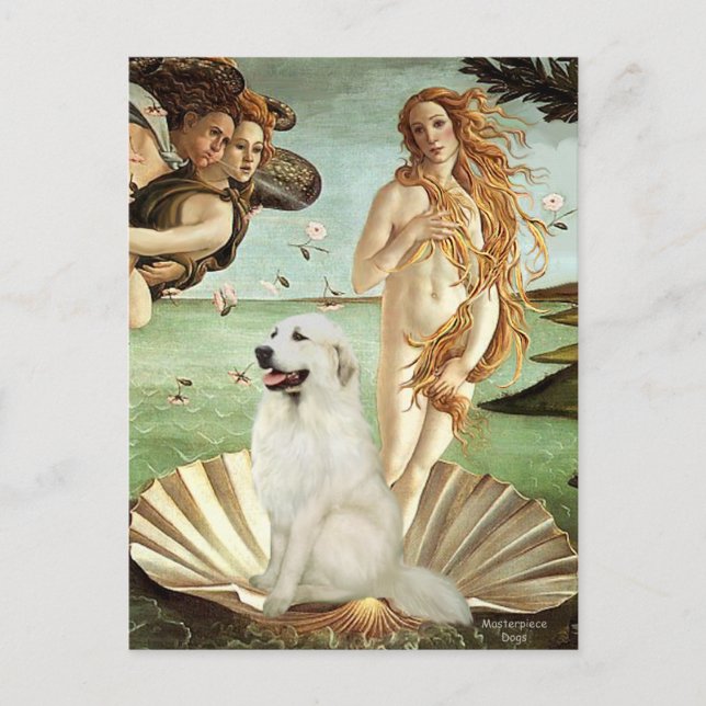 Great Pyrnees 1 - Birth of Venus Postcard (Front)