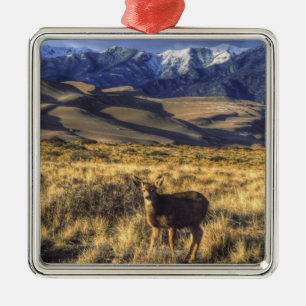 Great Sand Dunes National Park, Colorado Metal Ornament