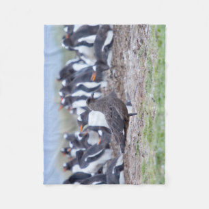 Great Skua in front of penguin colony Fleece Blanket