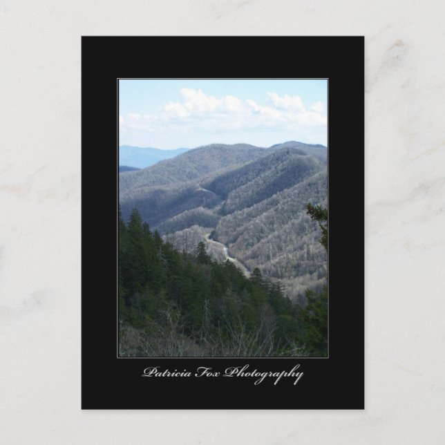 Great Smoky Mountains 3 - Carte postale (Devant)