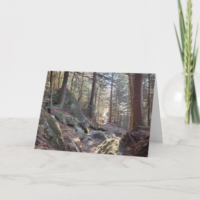 Great Smoky Mountains Evergreen Forest Holiday Card (Front)