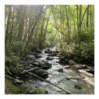 Great Smoky Mountains Mountain Stream Poster
