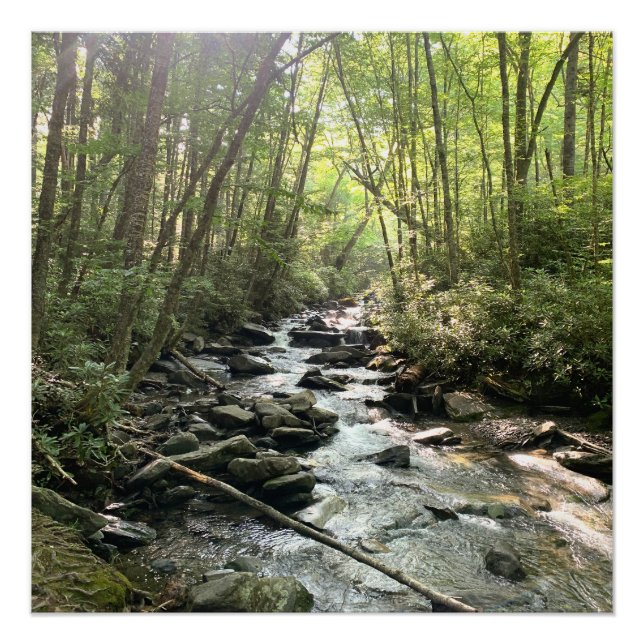 Great Smoky Mountains Mountain Stream Poster (Front)