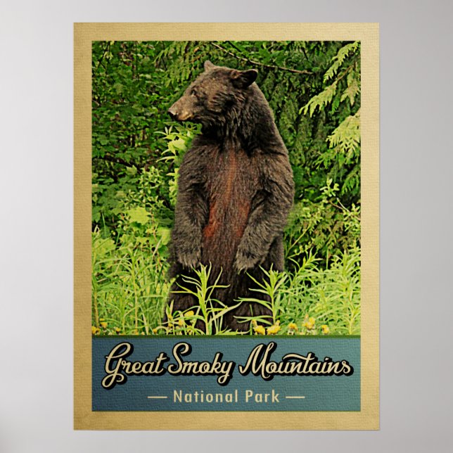 Great Smoky Mountains National Park Bear Poster (Front)