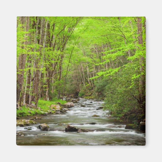 Great Smoky Mountains National Park North Carolina Magnet (Front)