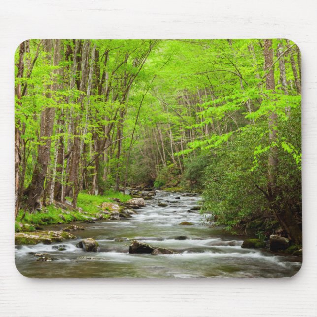 Great Smoky Mountains National Park North Carolina Mouse Pad (Front)