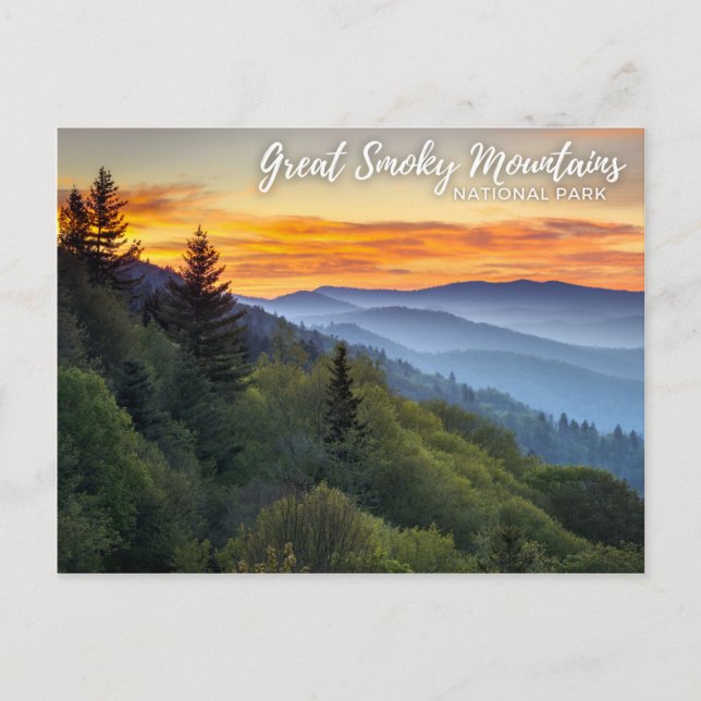 Great Smoky Mountains National Park Postcard (Front)