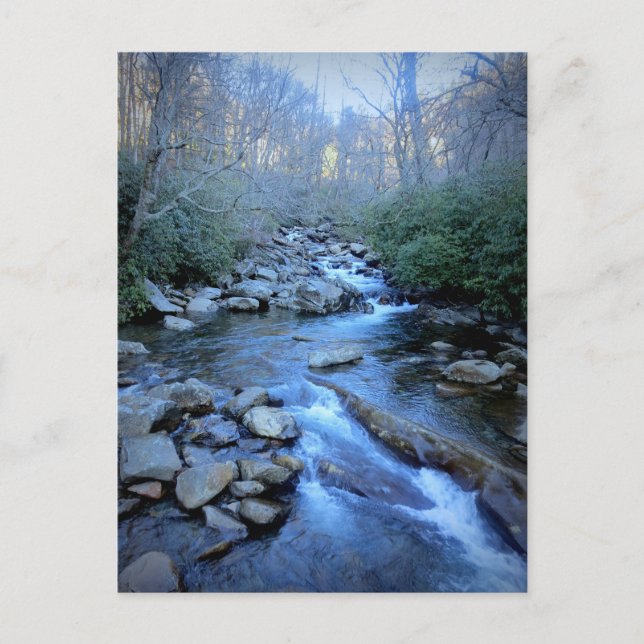 Great Smoky Mountains National Park Postcard (Front)