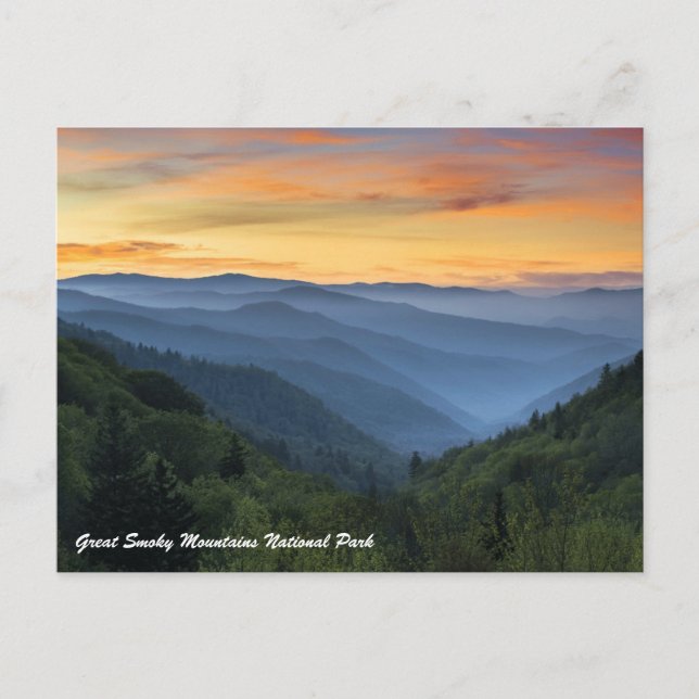 Great Smoky Mountains National Park Postcard (Front)