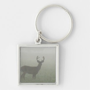 Great Smoky Mountains National Park, Tennesse, Keychain