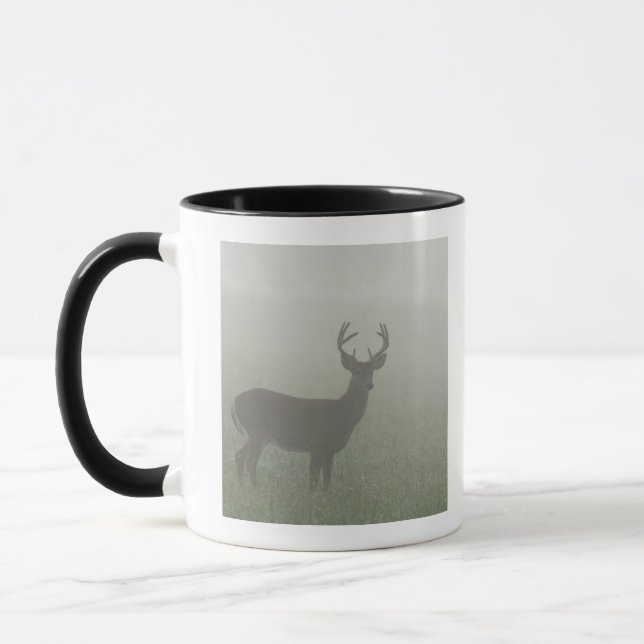 Great Smoky Mountains National Park, Tennesse, Mug (Left)