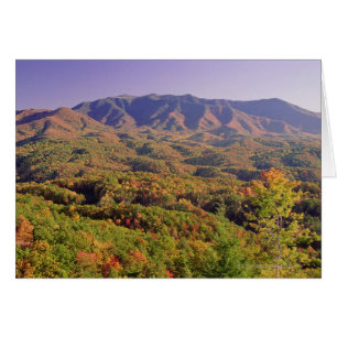 Great Smoky Mountains NP, Tennessee, USA