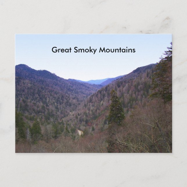 Great Smoky Mountains Postcard (Front)