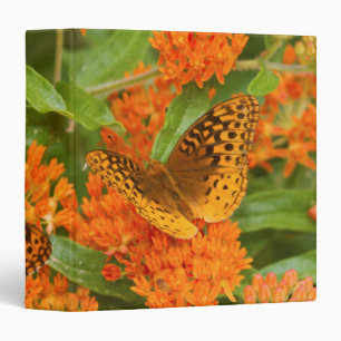 Great Spangled Fritillaries on Butterfly Milkweed Binder