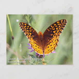 Great Spangled Fritillary Postcard
