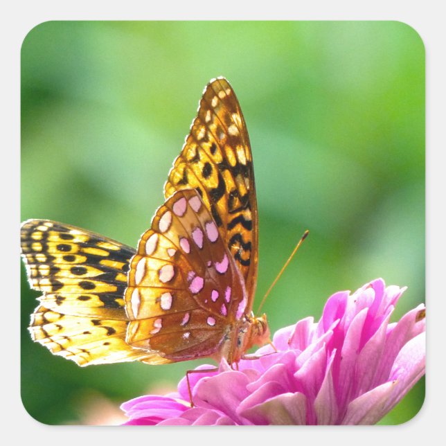 Great Spangled Fritillary Square Sticker (Front)
