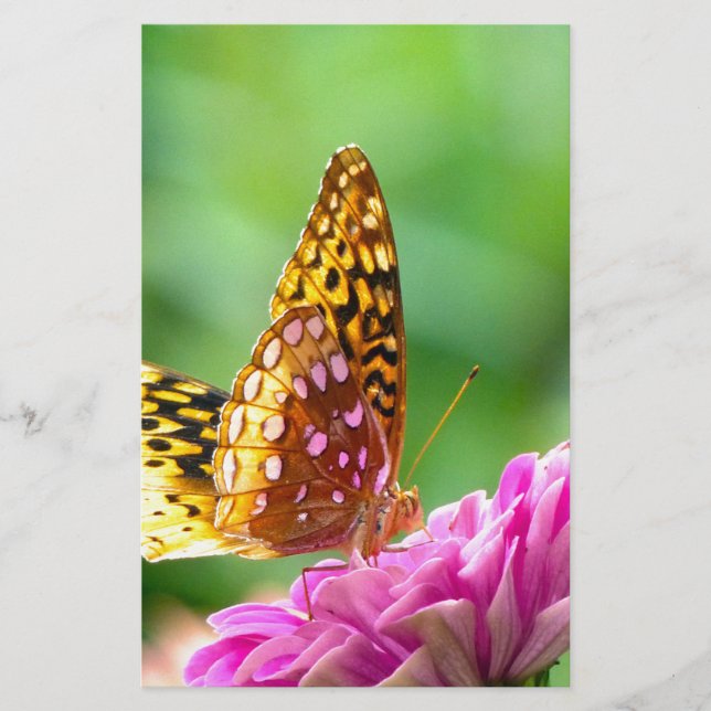 Great Spangled Fritillary Stationery (Front)