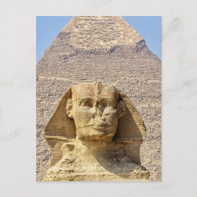 Great Sphinx of Giza & pyramids Ancient Egypt  Postcard (Front)