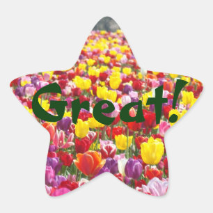 Great! star stickers Tulip Flowers School Teachers