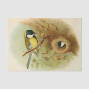 Great tit- Colourful bird, Art Tissue Paper