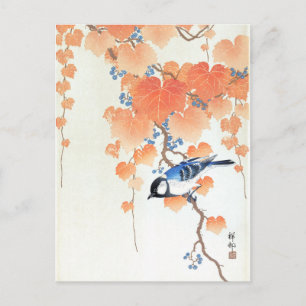 Great tit on paulownia branch - Ohara Koson - Art Postcard